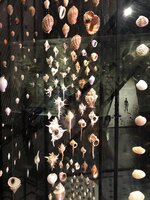 Musée des confluences - papillons