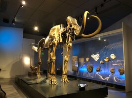 Musée des Confluences - Mammouth